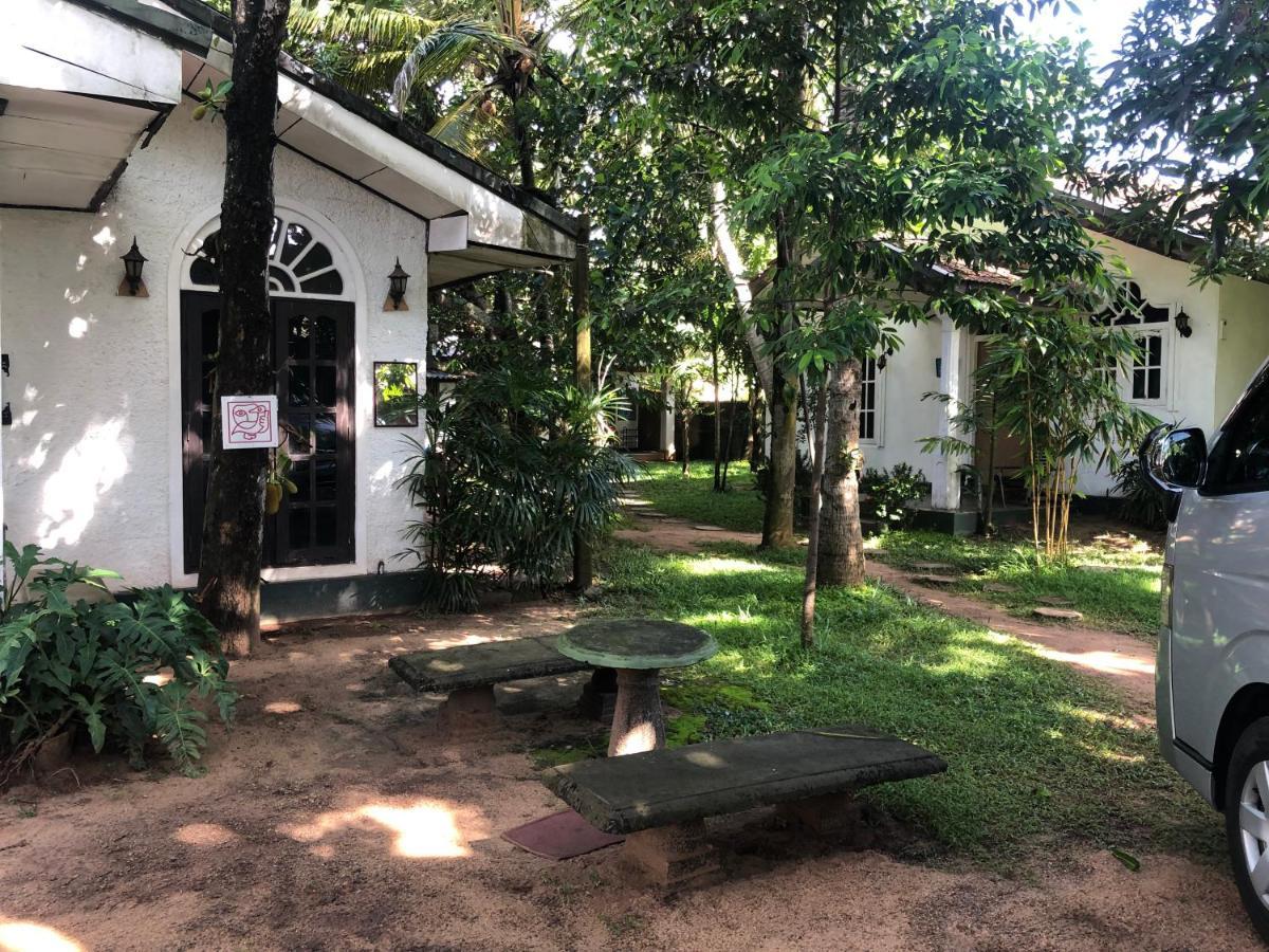 Sylvester Villa Hostel נגומבו מראה חיצוני תמונה
