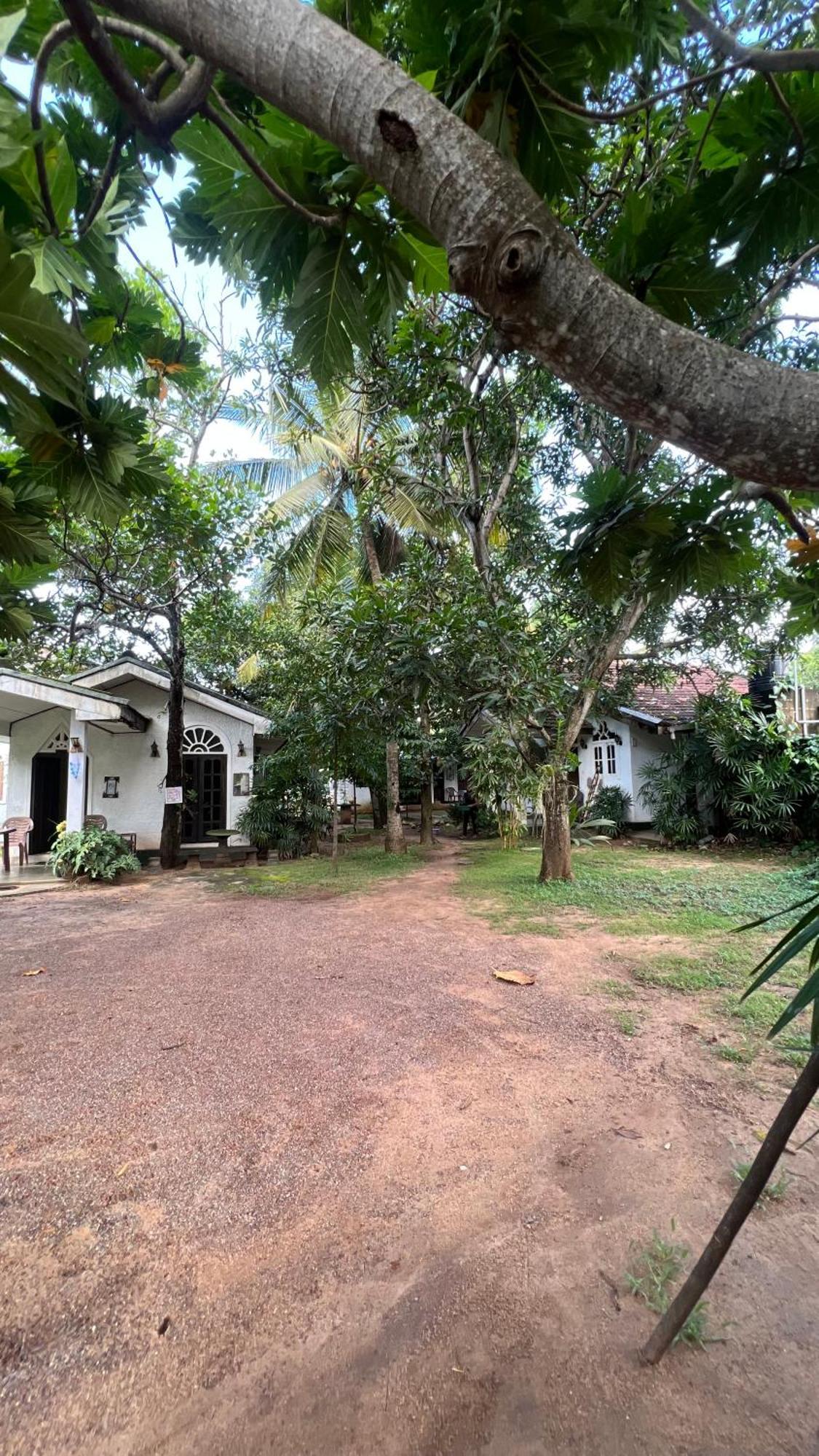 Sylvester Villa Hostel נגומבו מראה חיצוני תמונה