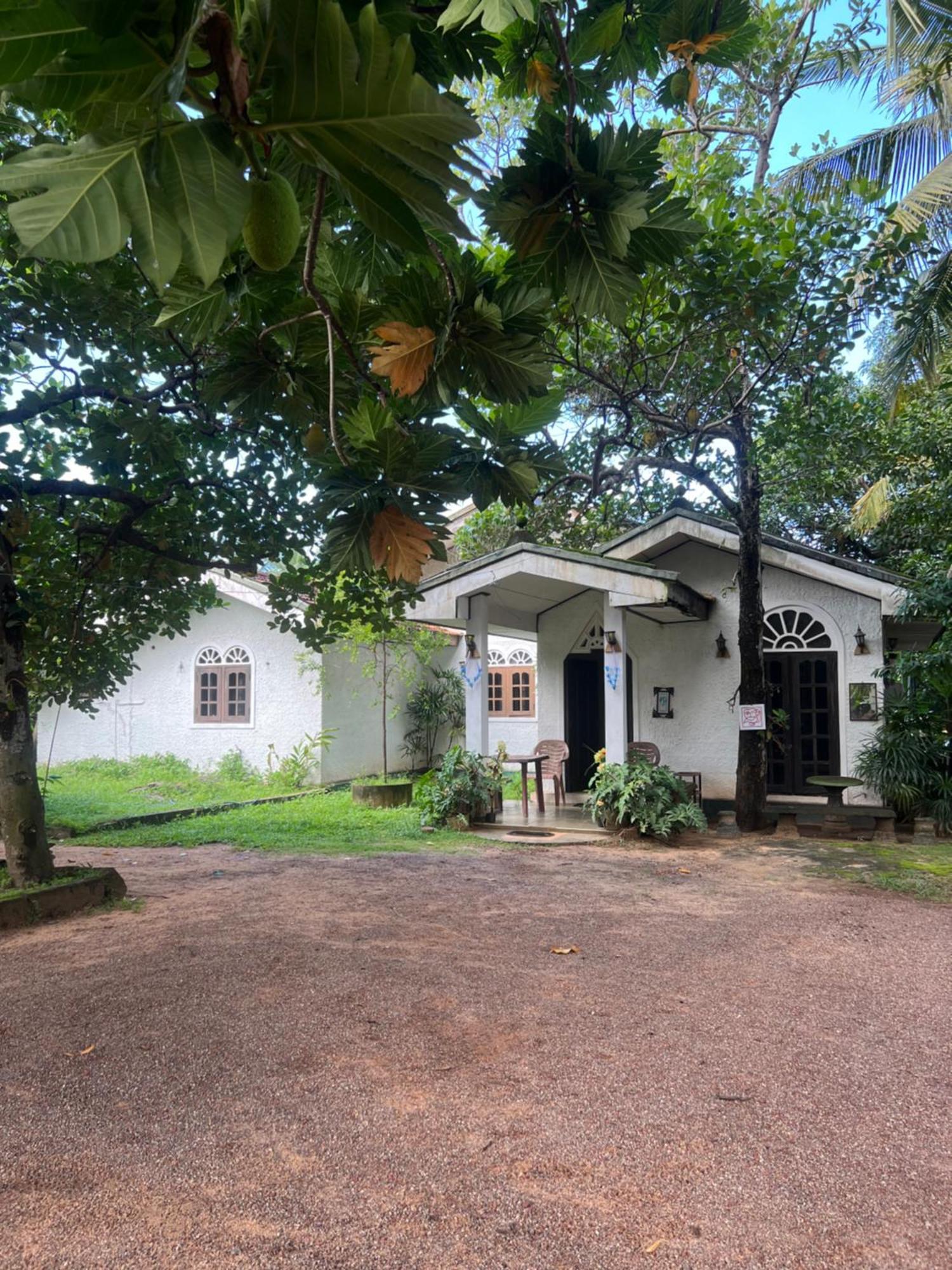 Sylvester Villa Hostel נגומבו מראה חיצוני תמונה